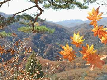 岢岚县特殊教育事业单位发展规划展望